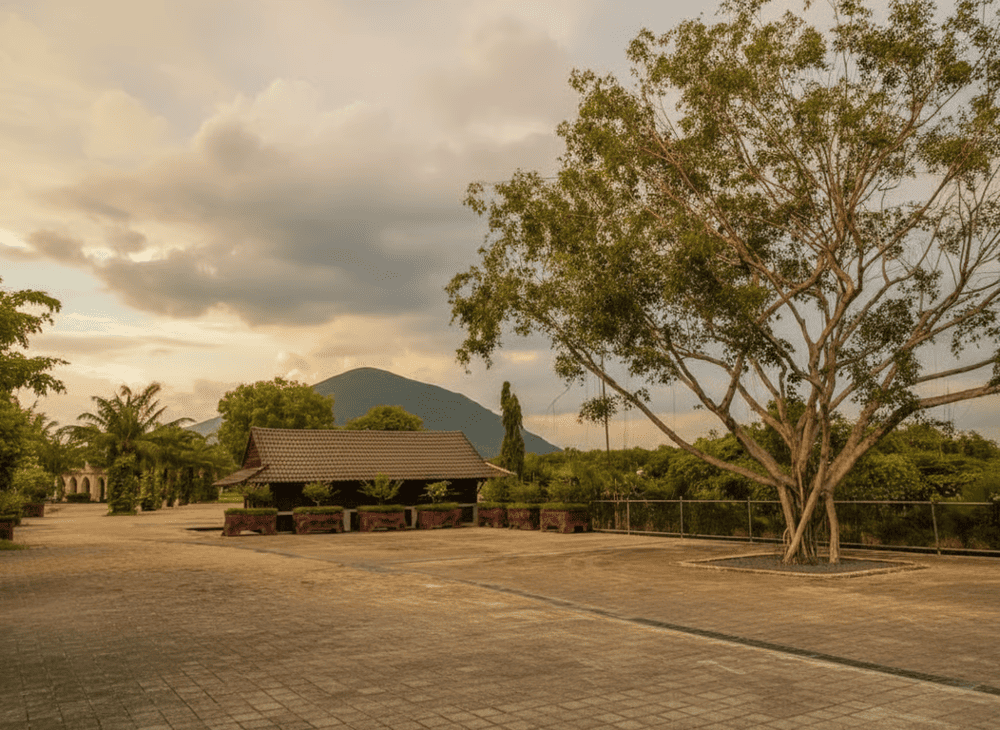 Thời điểm đẹp để đến Long Điền Sơn là từ tháng 11 đến tháng 04 năm sau